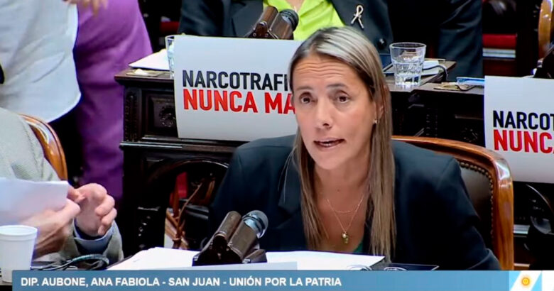 La diputada nacional Fabiola Aubone pidió explicaciones sobre el aterrizaje del avión de Estados Unidos en Barreal